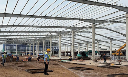 Chống Mối Cho Nhà Mới Xây Cần Thực Hiện Khi Nào Để Hiệu Quả Nhất?