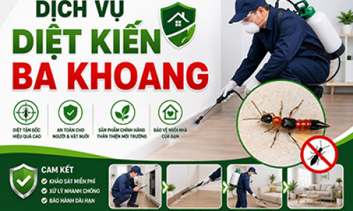 DỊCH VỤ DIỆT KIẾN BA KHOANG
