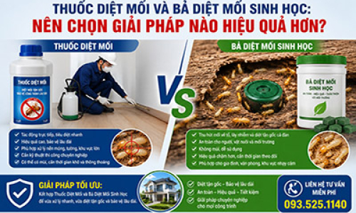 Thuốc Diệt Mối Và Bả Diệt Mối Sinh Học: Nên Chọn Giải Pháp Nào Hiệu Quả Hơn?