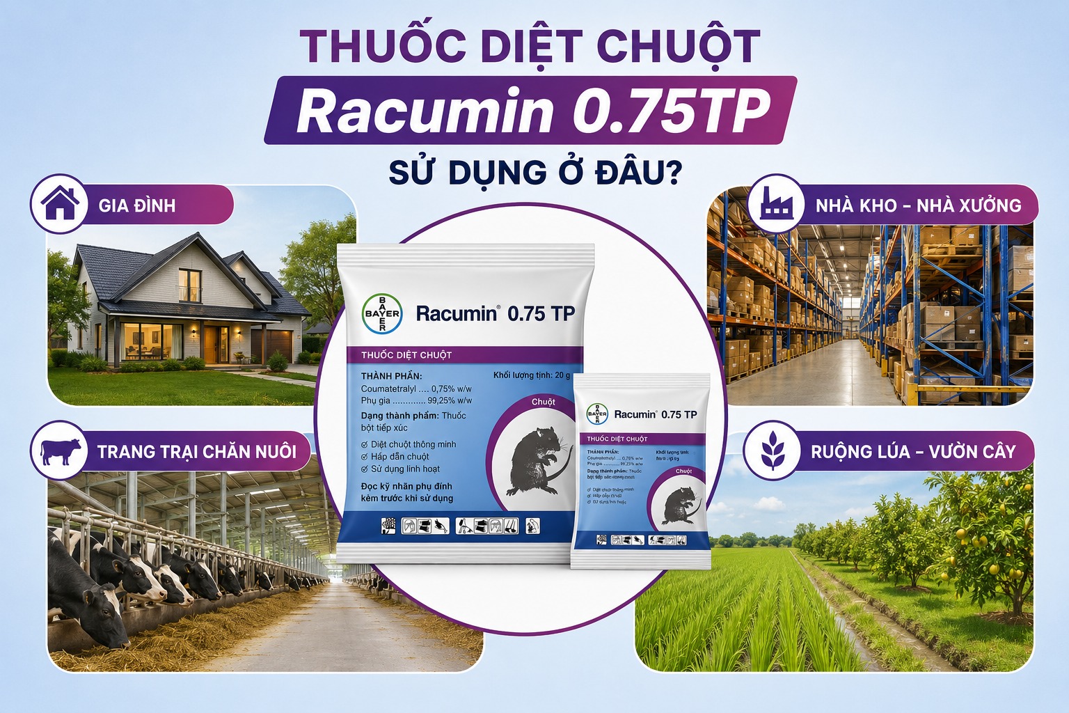 Thuốc diệt chuột Racumin 0.75TP sử dụng cho gia đình và kho xưởng